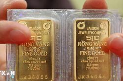 Tổng hợp thị trường chiều 20/07: SJC bất ngờ giảm 1,5 triệu xuống 146 triệu — Brent vọt sát 90 USD báo hiệu xăng tăng 26/07, Bitcoin lùi nhẹ 64.199 USD