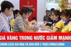Tổng hợp thị trường 17/07: Vàng SJC rớt về 146,6 triệu chiều cuối tuần — Bitcoin lùi tiếp 62.825 USD, dầu thô Brent vượt 84 USD