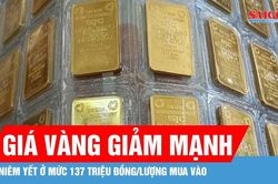 Tổng hợp thị trường chiều 23/07: SJC lao dốc về 140 triệu, Brent vọt 97,36 USD — Bitcoin bám vững 65.408 USD trước ECB tối nay
