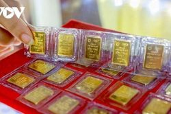 Giá vàng cuối ngày 23/03: SJC chốt phiên 166 triệu — giảm mạnh 5 triệu từ mở cửa, nhẫn Phú Quý rẻ nhất thị trường 163 triệu