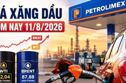 Giá xăng dầu hôm nay 11/08: Kỳ điều chỉnh chính thức có hiệu lực — Brent bám vững 90 USD/thùng, RON95 chịu sức ép tăng